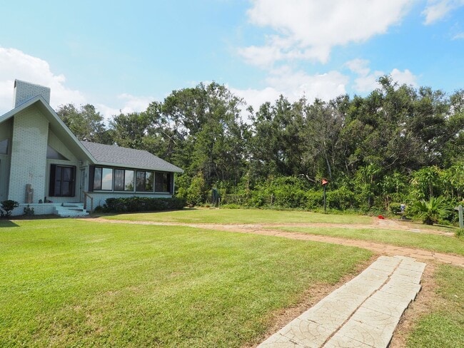 Building Photo - Dolphin watching from your own private beach!