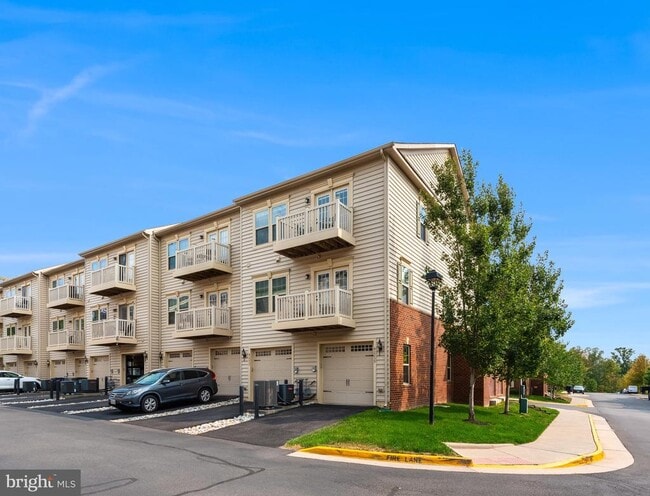 Building Photo - 42237 Piebald Square
