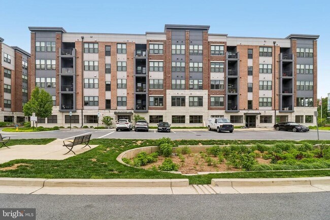 Building Photo - 3503 Bellflower Ln