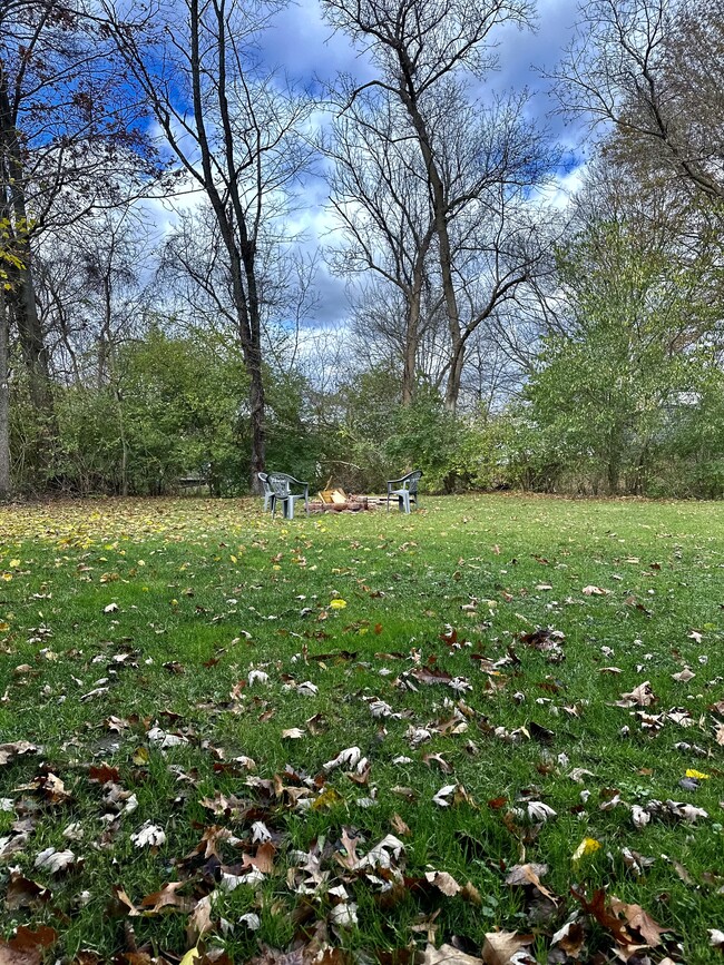 Private Wooded Backyard - 511 Harris St