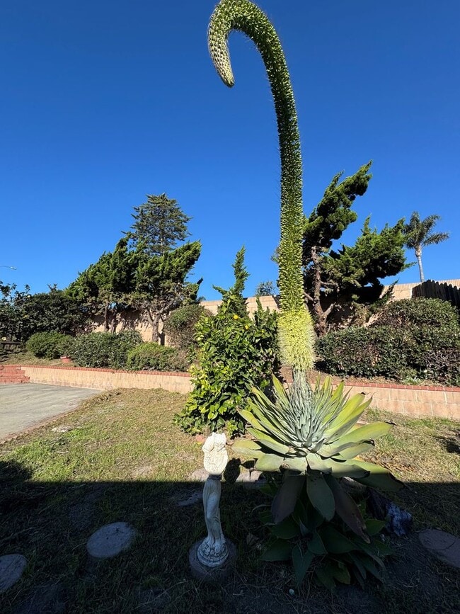 Building Photo - Spacious Central Ventura Home