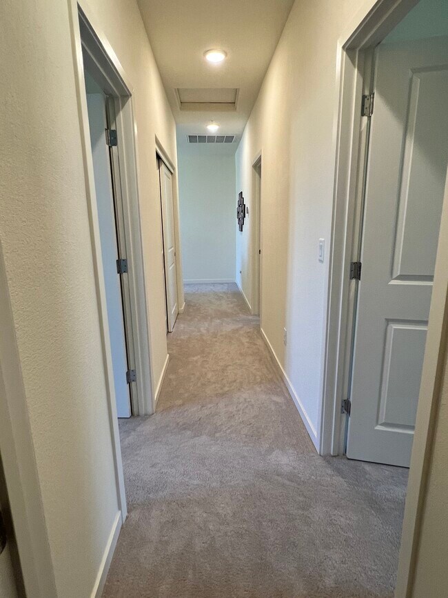 Hallway - 4711 Falcon Rock Ln