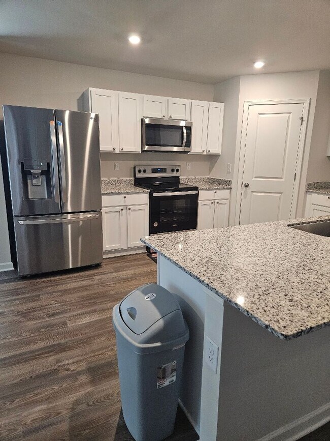 Building Photo - Brand New 4BD/2BA Home on Quiet Cul-de-Sac...