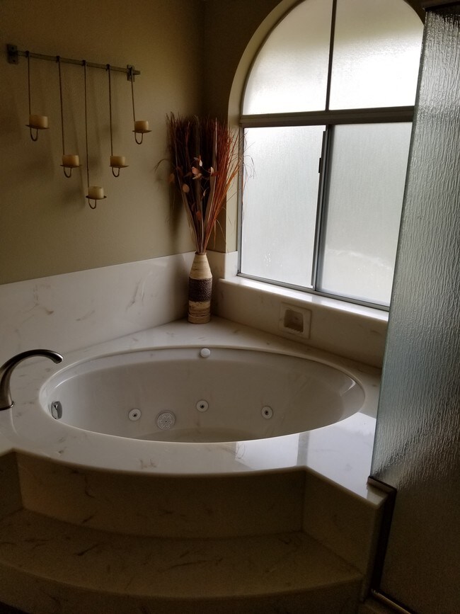 jacuzzi tub with window - 19945 Eagle Ridge Ln