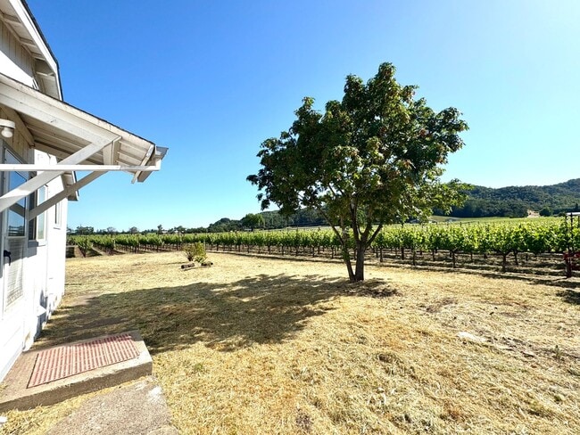 Building Photo - Rare, 2 Bedroom, 1 Bathroom Vineyard Cottage