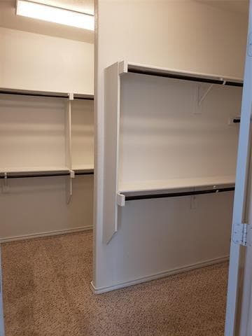 Building Photo - 101 Gannet Trl