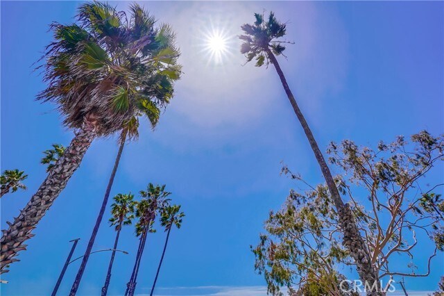 Building Photo - 4601 E Ocean Blvd