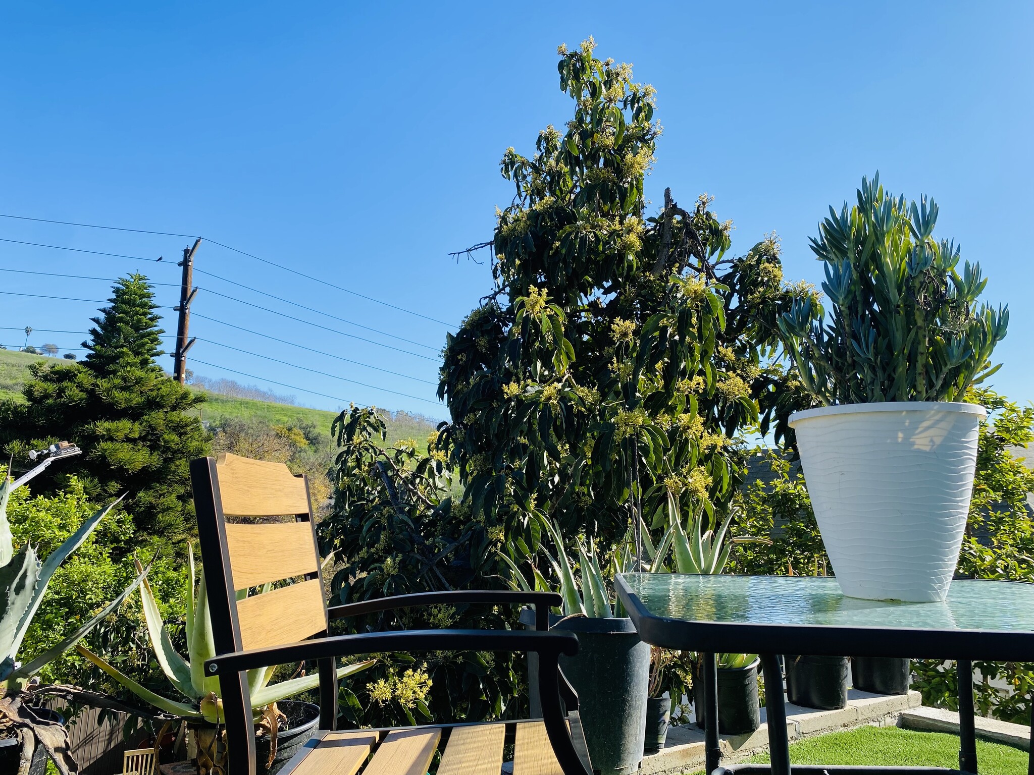 Building Photo - 2715 Alta St