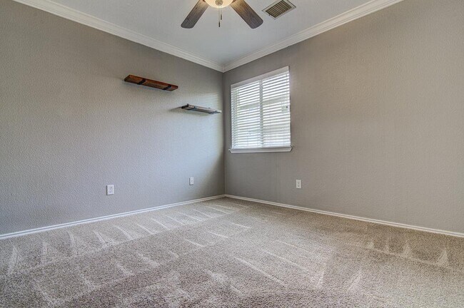 Building Photo - 3408 Campanella Dr
