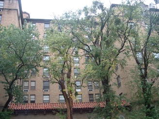 Alternate angle of building - Albert Pike Apartments