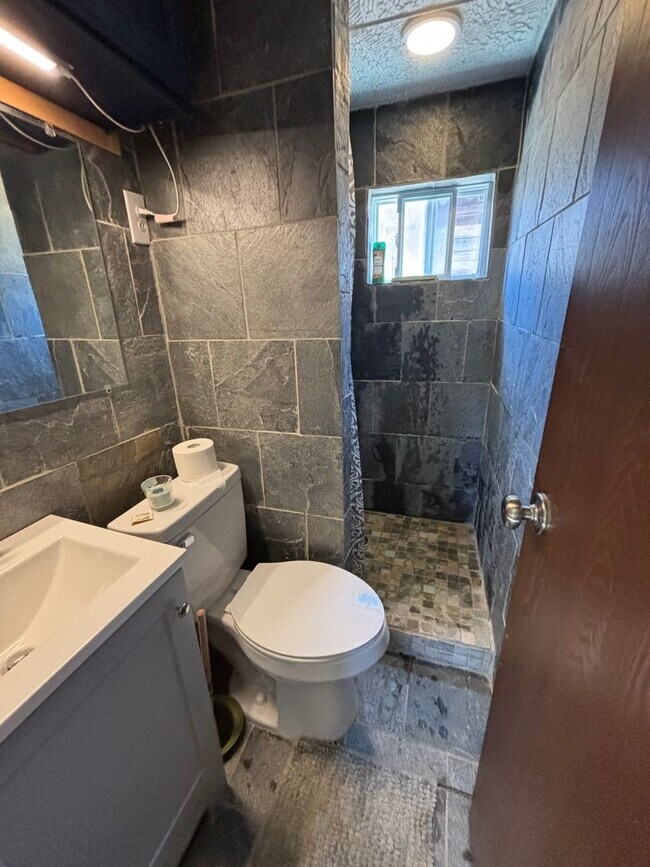 Building Photo - 20 Minutes to Breckenridge! Walk to everything Alma! Wood burning fireplace and fully furnished!