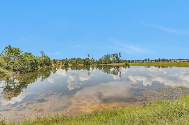 Building Photo - 223 Shoreview Dr