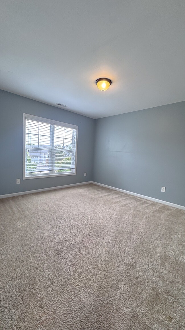 Building Photo - 429 Bald Cypress Ln