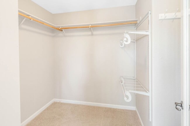 Building Photo - Gorgeous 4 Bedroom with SOLAR in Shadow Lakes!