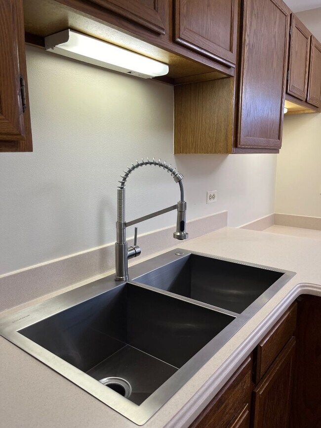 NEW SINK AND FAUCET - 1282 N Streamwood Ln