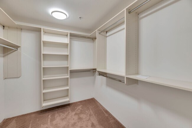 Building Photo - Luxurious Colony Camelview 2 Bed Condo