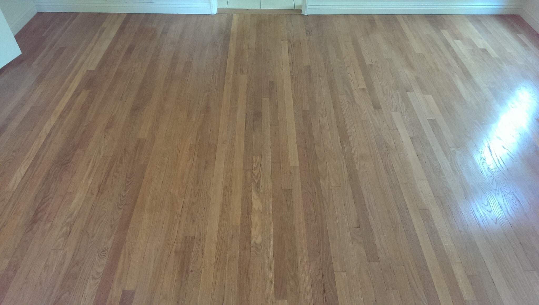 Optional 3rd Bedroom - 1226 S Longwood Ave