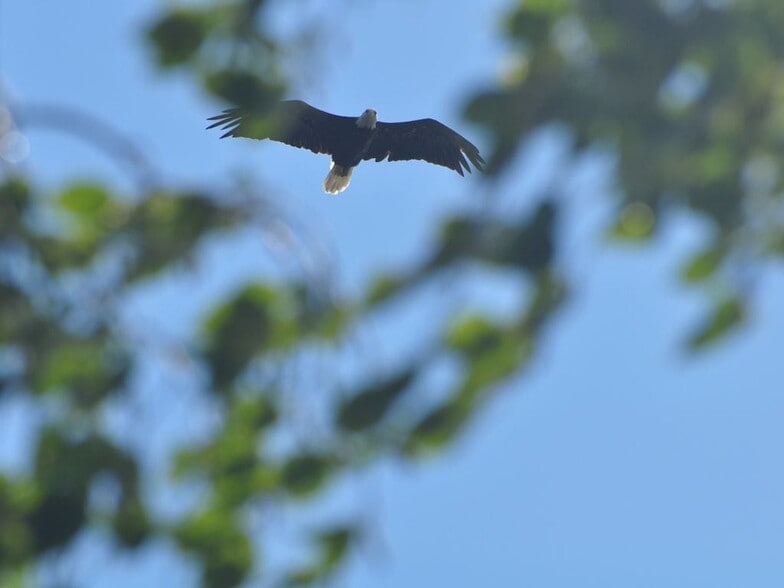 Building Photo - 43 Ocean Dr