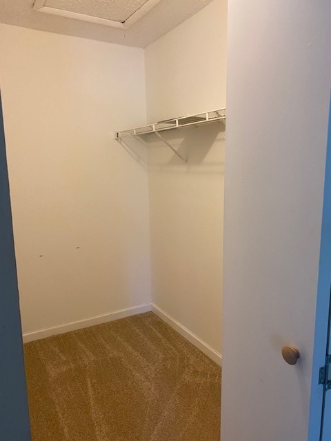 Walk in Closet - 3001 58th Ave S
