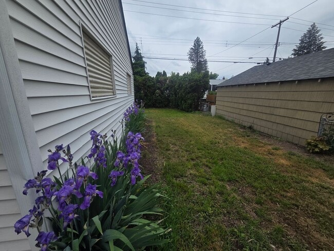 Building Photo - Audubon-Downriver Neighborhood 3+ bedroom, 1 bath corner lot with large, fenced yard