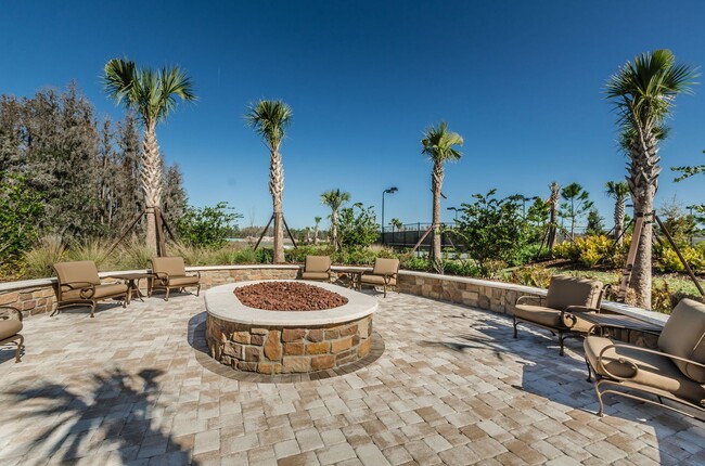 Building Photo - Beautiful Pool home in Starkey Ranch