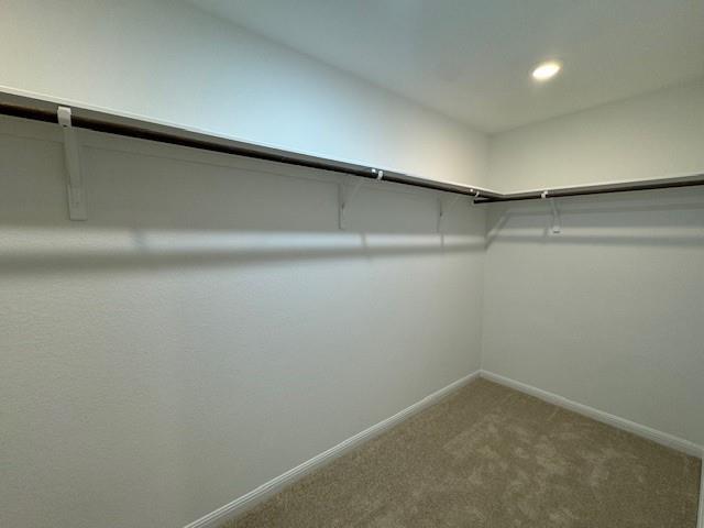 Building Photo - 788 Papaya Dr