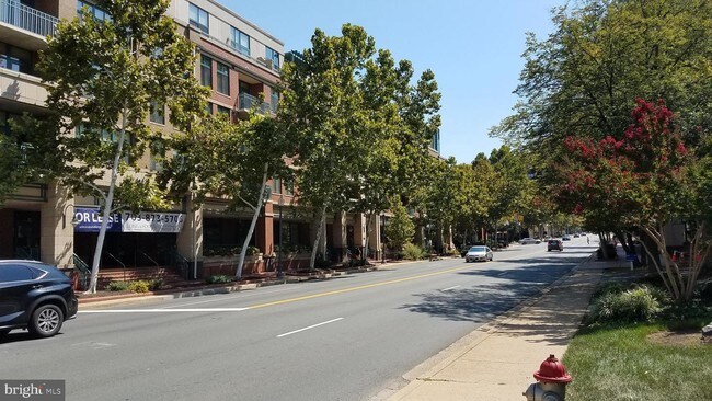 Building Photo - 502 W Broad St