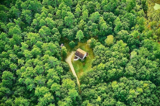 Building Photo - Sunny & Spacious 4 bedroom home