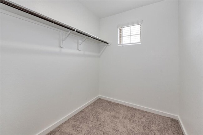 Building Photo - 10651 Whitejacket