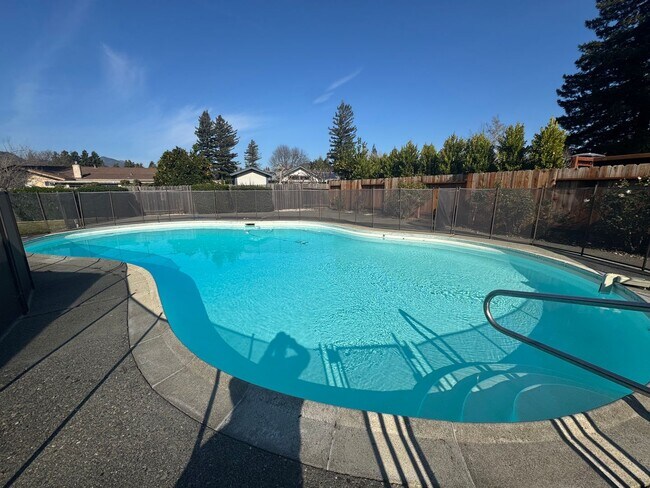 Building Photo - VAILABLE NOW! G O R G E O U S Single Story 3 Bed 2 Bath with Pool