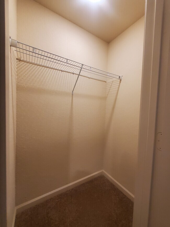 Building Photo - 157 Innis Brk Cir