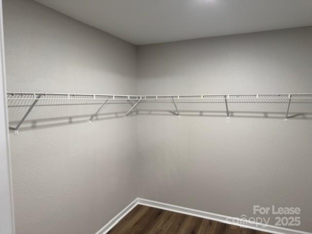 Building Photo - 673 Nannyberry Ln