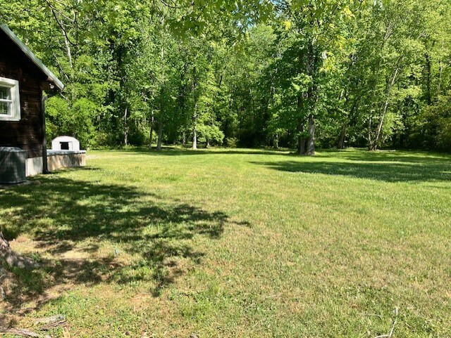 Rear yard - 4716 McCahill Rd
