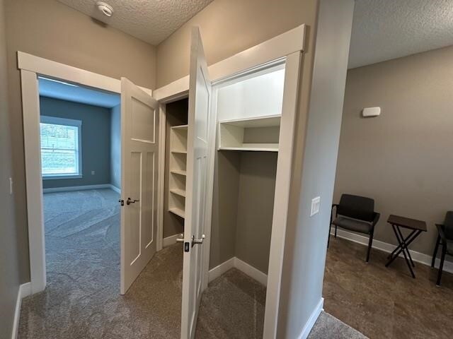 Building Photo - 3232 Plum Tree Ln