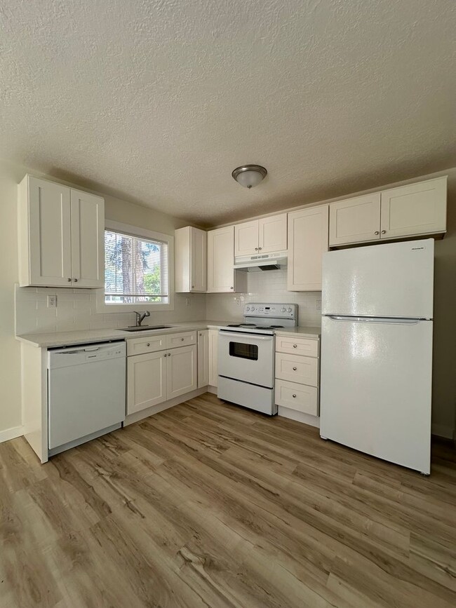 Building Photo - BRAND NEW Studio Apartment.  Flat Monthly ...