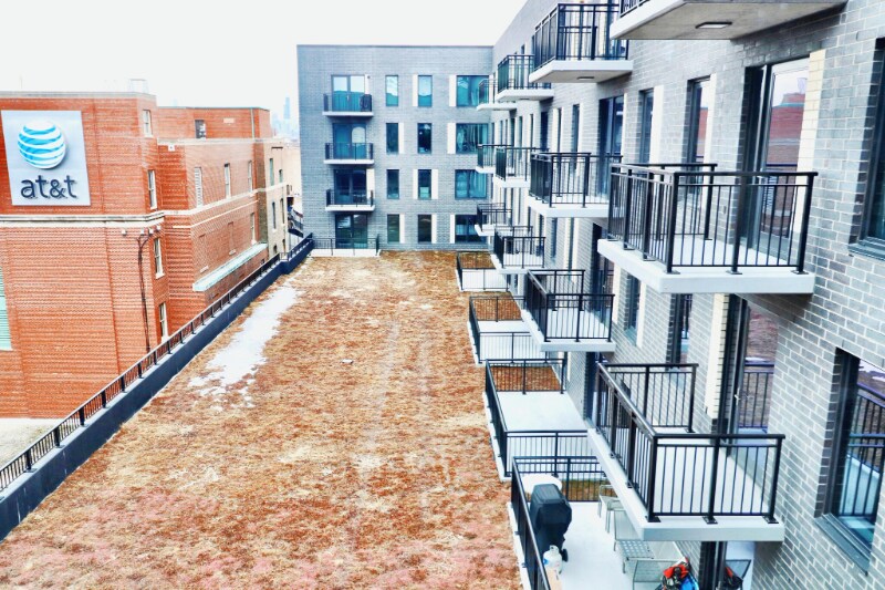 Building Photo - 1037 W Addison St