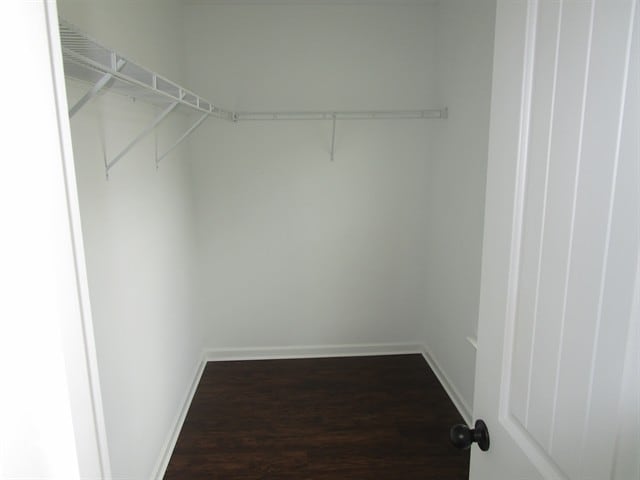 Building Photo - 2572 Corey Park Dr