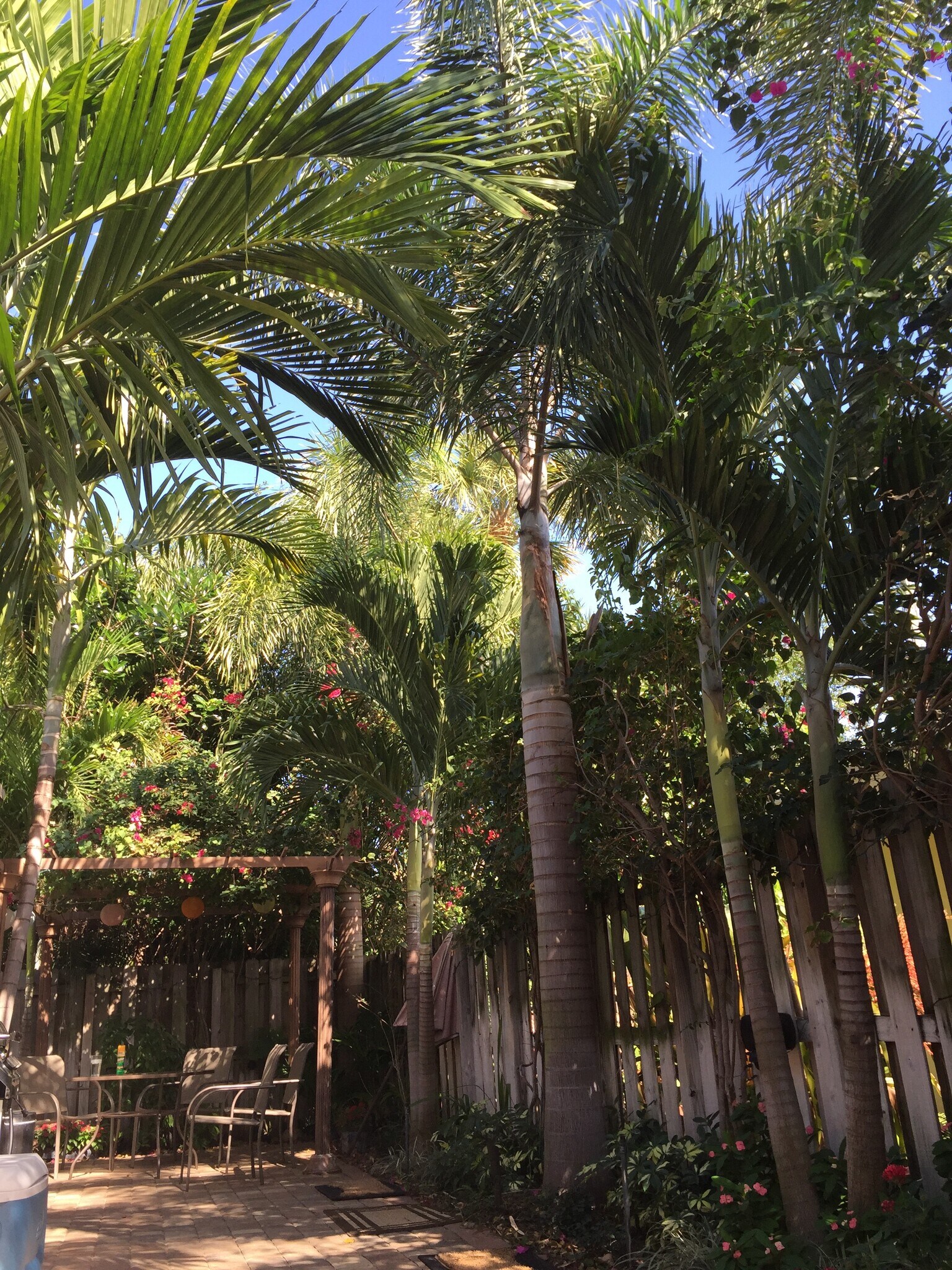 Building Photo - 1008 NE 11th St