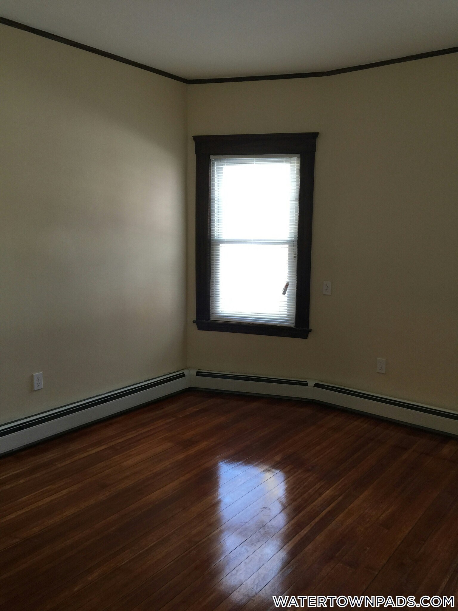 Building Photo - 126 Winsor Ave