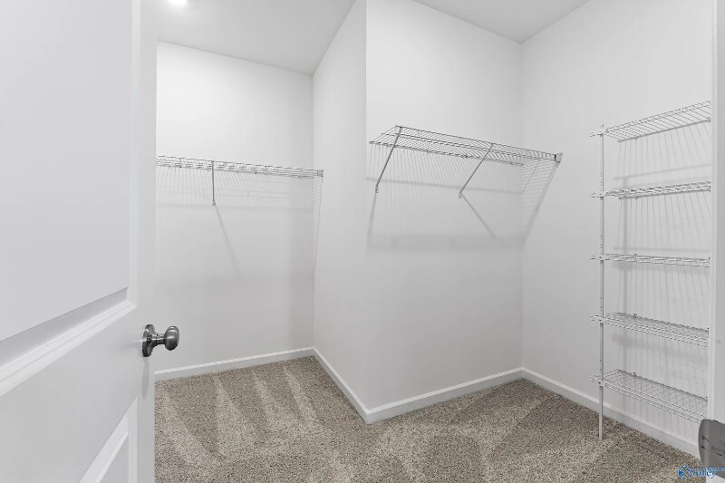 Building Photo - 117 Evergreen Ml Ln