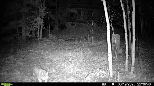 Building Photo - 609 Buffalo Ridge Rd