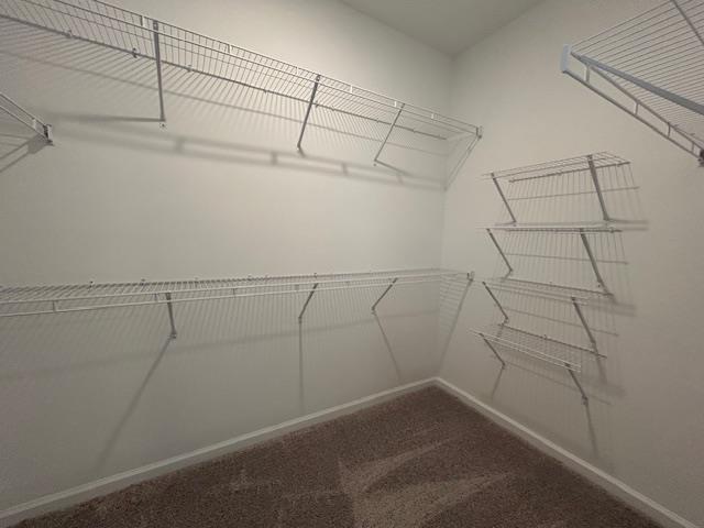 Building Photo - 1671 Wellborn Walk