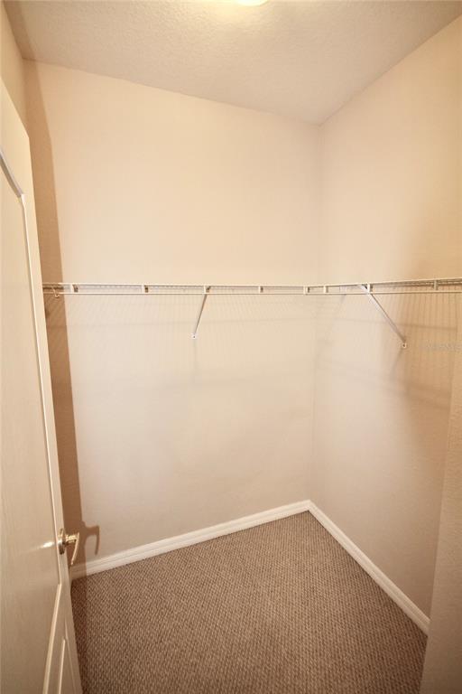 Building Photo - 2458 Caravelle Cir