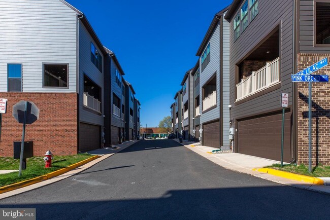 Building Photo - 4468 Sulford Ter