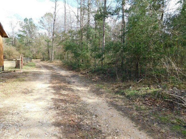 Building Photo - 537 Roscoe