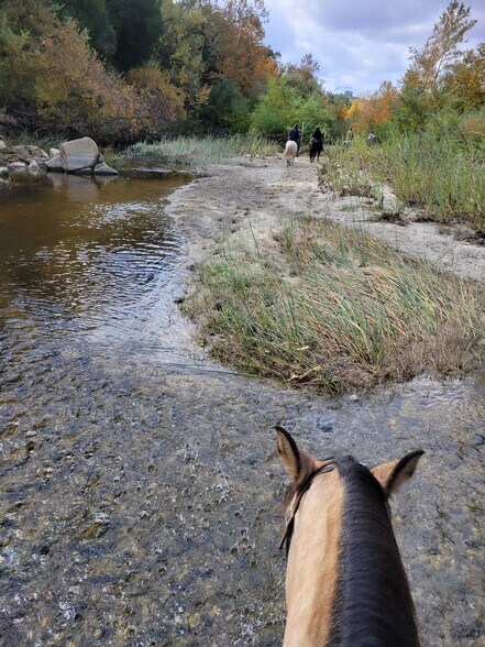Building Photo - 2029 Willow Glen Rd