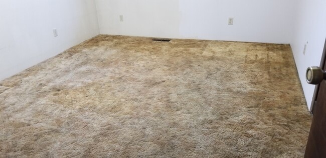 Building Photo - 3 bedroom, 2 bathroom home in well established neighborhood.