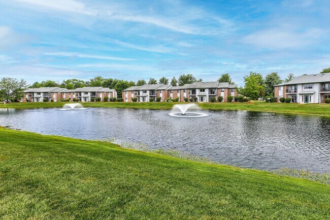Building Photo - one bedroom one bath downstairs