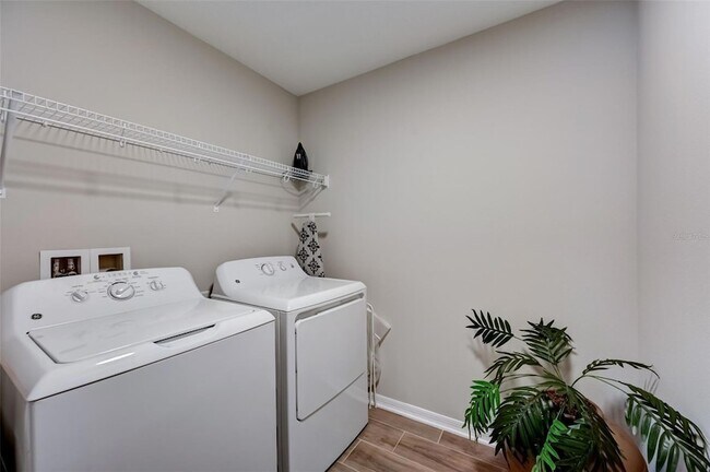 Building Photo - 3139 Marine Grass Dr