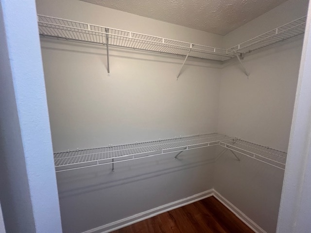 Building Photo - 513 Meadowland Ct